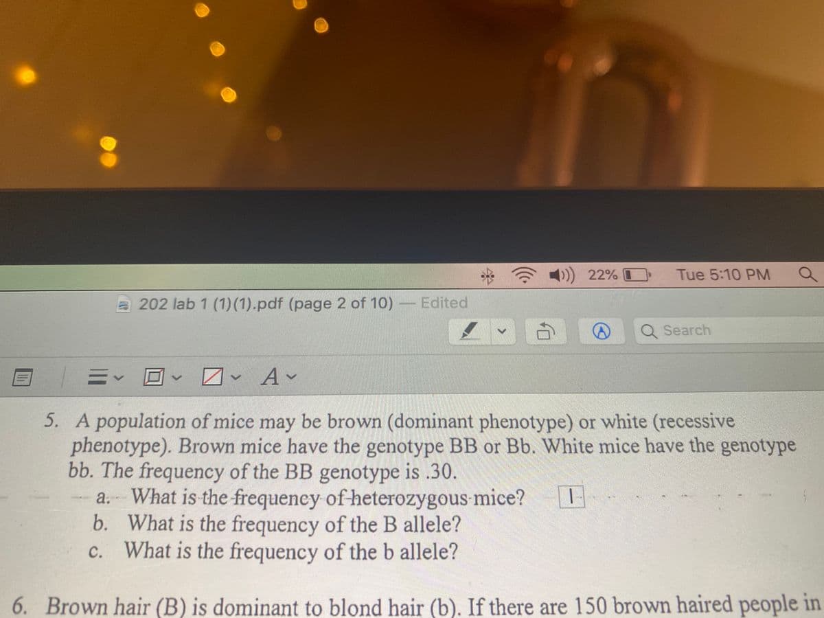 4) 22%
Tue 5:10 PM
202 lab 1 (1)(1).pdf (page 2 of 10) Edited
Q Search
目|三▼
可、
v Av
5. A population of mice may be brown (dominant phenotype) or white (recessive
phenotype). Brown mice have the genotype BB or Bb. White mice have the genotype
bb. The frequency of the BB genotype is .30.
a. What is the frequeney of heterozygous mice?
b. What is the frequency of the B allele?
c. What is the frequency of the b allele?
с.
6. Brown hair (B) is dominant to blond hair (b). If there are 150 brown haired people in
