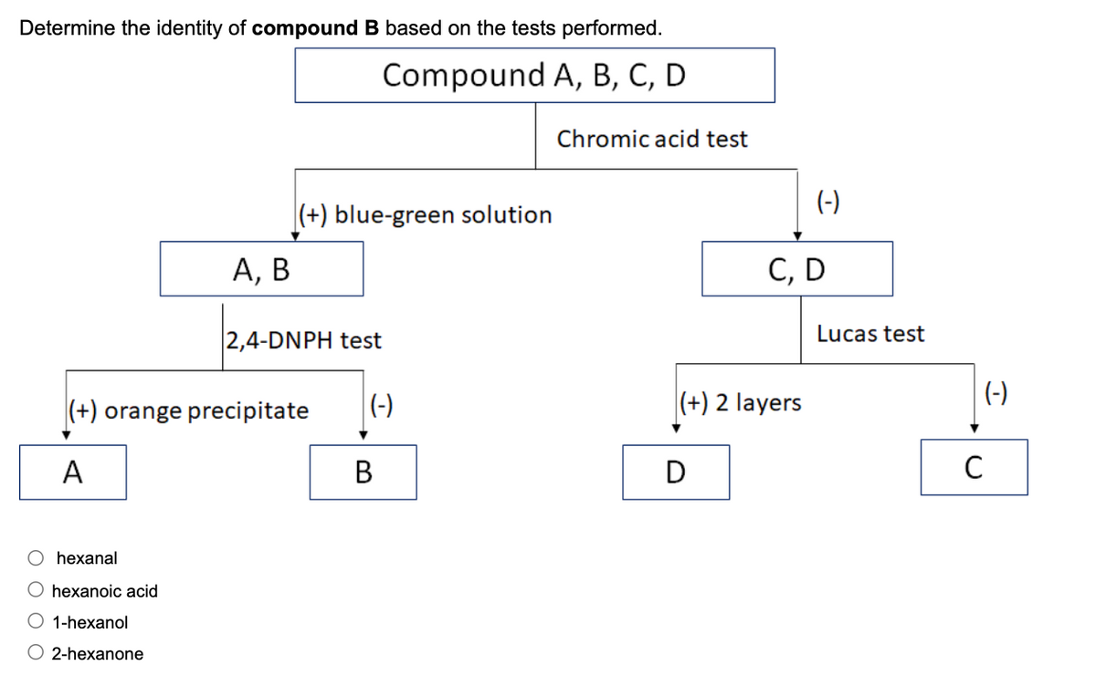 Determine the identity of compound B based on the tests performed.
Compound A, B, C, D
Chromic acid test
(-)
|(+) blue-green solution
А, В
С, D
Lucas test
2,4-DNPH test
(+) orange precipitate
(-)
|(+) 2 layers
(-)
A
В
D
C
hexanal
hexanoic acid
O 1-hexanol
2-hexanone
