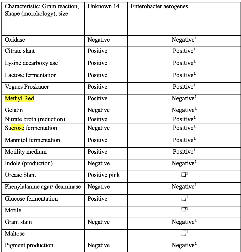 Enterobacter aerogenes
Characteristic: Gram reaction,
Shape (morphology), size
Unknown 14
Oxidase
Negative
Negative
Citrate slant
Positive
Positive?
Lysine decarboxylase
Positive
Positive?
Lactose fermentation
Positive
Positive
Vogues Proskauer
Positive
Positive?
Methyl Red
Positive
Negative
Negative
Positive?
Gelatin
Negative
Nitrate broth (reduction)
Positive
Sucrose fermentation
Negative
Positive?
Mannitol fermentation
Positive
Positive?
Motility medium
Positive
Positive?
Indole (production)
Negative
Negative
Urease Slant
Positive pink
Phenylalanine agar/ deaminase Negative
Negative
Glucose fermentation
Positive
Motile
Gram stain
Negative
Negative
Maltose
Pigment production
Negative
Negative
