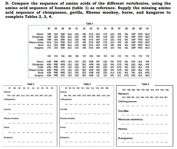 D. Compare the sequence of amino acids of the different vertebrates, using the
amino acid sequence of humans (table 1) as reference. Supply the missing amino
acid sequence of chimpanzee, gorilla, Rhesus monkey, horse, and kangaroo to
complete Tables 2, 3, 4.
Table 1
87 88 89 90 91 92 93 94 95 96
97
98.
99
100
101
Human
Chimpanzee
Gorla
Rhesus monkny
THR LEU SER GLU LEU
THR LEU SER GLU LEU
THR LEU SER GLU LEU
GLN LEU SER GLU LEU
HIS CYS ASP
HIS CYS ASP
HIS CYS ASP
HIS CYS ASP
HIS CYS ASP
HIS CYS ASP
LYS LEU
LYS LEU
LYS LEU
LYS LEU
LYS LEU
LYS
HIS
HIS
HIS
HIS
VAL ASP PRO GLU
VAL ASP PRO GLU
VAL ASP PRO GLU
VAL
ASP PRO GLU
VAL ASP PRO GLU
VAL ASP PRO GLU
Horse
ALA LEU SER GLU LEU
HIS
Kangaroo
LYS LEU SER GLU
LEU
LEU
HIS
102
103
104
105
106
107
100
109
110
111
112
113
114
115
116
VAL CYS
Human
Chimpanzee
Gorila
ASN PHE ARG LEU LEU
GLY ASN
GLY ASN
GLY ASN
GLY ASN VAL
GLY ASN VAL
GLY ASN
VAL
LEU
LEU
LEU
LEU
LEU
ILE
VAL LEU ALA
HIS
ASN PHE ARG LEU LEU
ASN PHE LYS LEU LEU
ASN PHE LYS LEU LEU
ASN PHE ARG LEU LEU
VAL
VAL
CYS
VAL LEU ALA
HIS
VAL
VAL
CYS
VAL CYS
ALA LEU
VAL
VAL LEU ALA HIS
VAL LEU ALA
VAL
CYS LEU ALA GLU
Rhesus monkey
HIS
VAL ALA ARG
Horse
Kangaroo ASN PHE LYS LEU LEU
ILE
ILE
Table 2
Table 3
Table 4
87 88 89 90 91 92 93 94 95 96
91 98 99 100 101 102 103 104 105 106
107 108 109 110 111 112 113 114 115 116
Human
Human
Human
THR LEU SER GLU LEU HIS CYS ASP LYS LEU
HIS VAL ASP PRO GLU ASN PHE ARG LEU LEU
GLY ASN VAL LEU VAL CYS VAL LEU ALA HIS
Chimpanzee
Chimpanzee
Chimpanzee
Gorrilla
Gorrilla
Gorilla
Rhesus monkey
Rhesus monkey
Rhesus-monkey
Horse
Horse
Horse
Kangaroo
Kangaroo
Kangaroo
