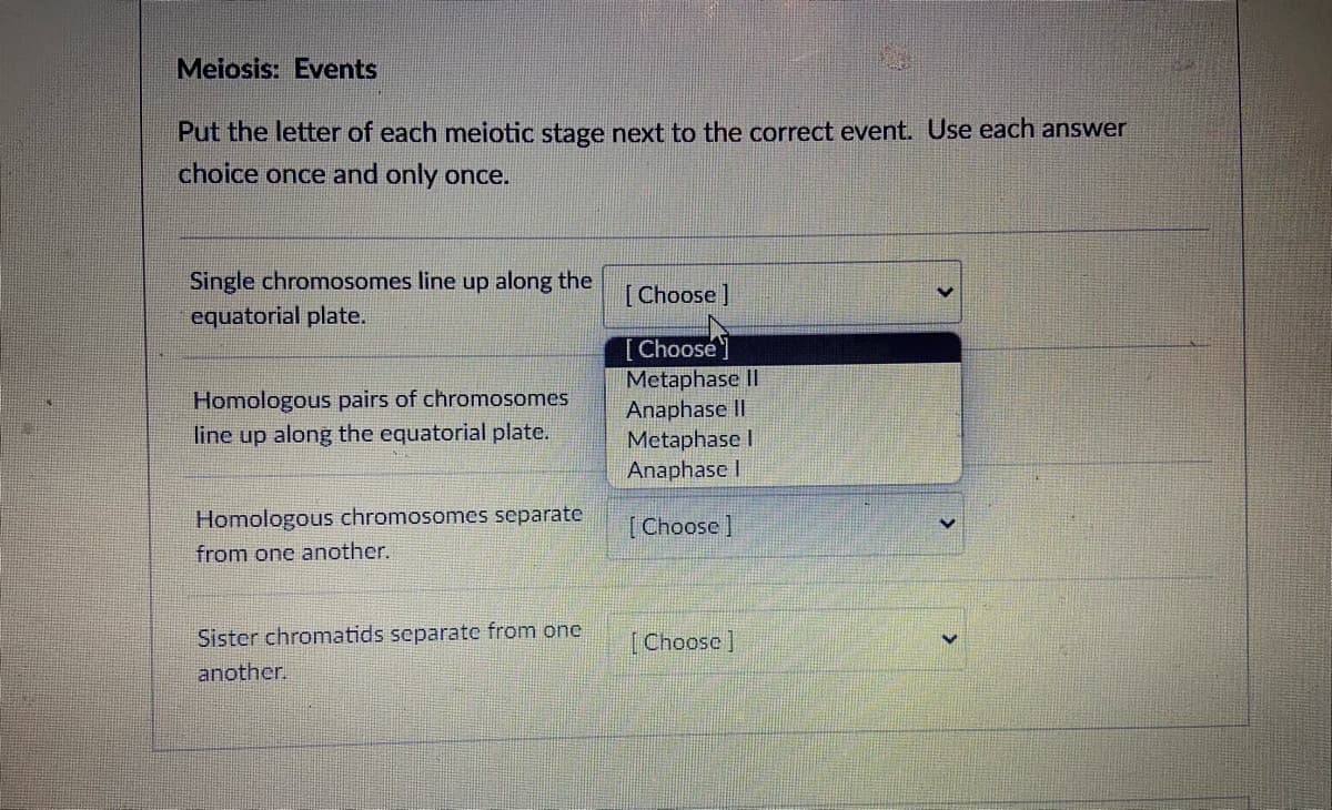 Meiosis: Events
Put the letter of each meiotic stage next to the correct event. Use each answer
choice once and only once.
Single chromosomes line up along the
equatorial plate.
[Choose ]
[Choosé]
Homologous pairs of chromosomes
line up along the equatorial plate.
Metaphase II
Anaphase II
Metaphase I
Anaphase I
Homologous chromosomes separate
[Choose ]
from one another.
Sister chromatids separate from one
another.
[Choose]
