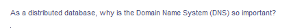 As a distributed database, why is the Domain Name System (DNS) so important?