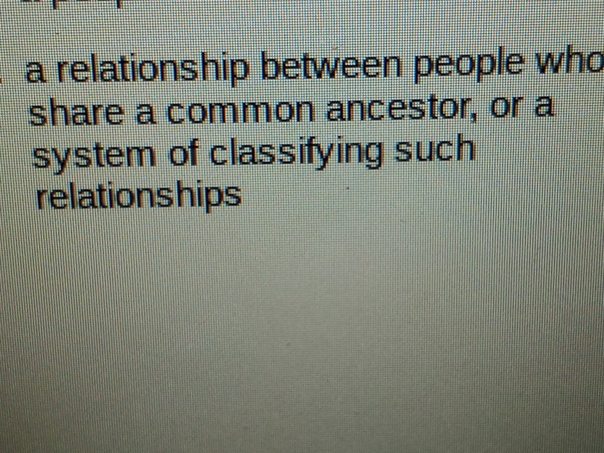 a relationship between people who
share a common ancestor, or a
system of classifying such
relationships
