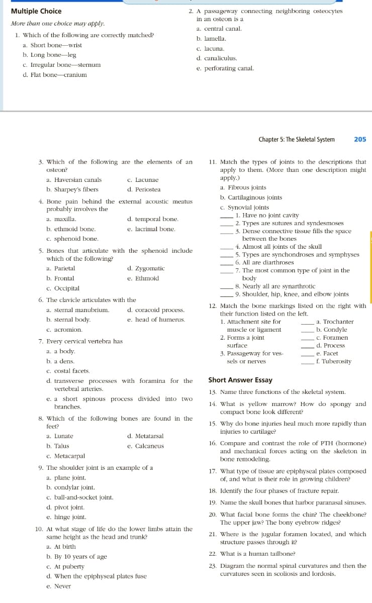 Multiple Choice
2. A passageway connecting neighboring osteocytes
in an osteon is a
More than one choice may apply.
a. central canal.
1. Which of the following are correctly matched?
b. lamella.
c. lacuna.
a. Short bone-wrist
b. Long bone-leg
d. canaliculus,
c. Irregular bone-sternum
e. perforating canal.
d. Flat bone-cranium
Chapter 5: The Skeletal System
205
3. Which of the following are the elements of an
11. Match the types of joints to the descriptions that
apply to them. (More than one description might
Osteon?
c. Lacunae
d. Periostea
a. Haversian canals
apply.)
a. Fibrous joints
b. Sharpey's fibers
b. Cartilaginous joints
c. Synovial joints
1. Have no joint cavity
2. Types are sutures and syndesmoses
3. Dense connective tissue fills the spac
between the bones
Bone pain behind the external acoustic meatus
probably involves the
d. temporal bone.
e. lacrimal bone.
a. maxilla.
b. ethmoid bone.
c. sphenoid bone.
5. Bones that articulate with the sphenoid include
4. Almost all joints of the skull
5. Types are synchondroses and symphyses
6. All are diarthroses
7. The most common type of joint in the
body
8. Nearly all are synarthrotic
9. Shoulder, hip, knee, and elbow joints
which of the following?
a. Parietal
d. Zygomatic
b. Frontal
c. Occipital
e. Ethmoid
6. The clavicle articulates with the
12. Match the bone markings listed on the right with
their function listed on the left.
1. Attachment site for
a. sternal manubrium.
d. coracoid process.
b. sternal body.
e. head of humerus.
a. Trochanter
b. Condyle
c. Foramen
d. Process
e. Facet
f. Tuberosity
с. асгоmion.
muscle or ligament
2. Forms a joint
7. Every cervical vertebra has
surface
a. a body.
3. Passageway for ves-
b. a dens.
sels or nerves
c. costal facets.
d. transverse processes with foramina for the
vertebral arteries.
Short Answer Essay
13. Name three functions of the skeletal system.
e. a short spinous process divided into two
branches.
14. What is yellow marrow? How do spongy and
compact bone look different?
8. Which of the following bones are found in the
15. Why do bone injuries heal much more rapidly than
injuries to cartilage?
feet?
d. Metatarsal
a. Lunate
b. Talus
16. Compare and contrast the role of PTH (hormone)
and mechanical forces acting on the skeleton in
bone remodeling.
e. Calcaneus
с. Metacarpal
9. The shoulder joint is an example of a
17. What type of tissue are epiphyseal plates composed
of, and what is their role in growing children?
a. plane joint.
b. condylar joint.
c. ball-and-socket joint.
d. pivot joint.
e. hinge joint.
18. Identify the four phases of fracture repair.
19. Name the skull bones that harbor paranasal sinuses.
20. What facial bone forms the chin? The cheekbone?
The upper jaw? The bony eyebrow ridges?
10. At what stage of life do the lower limbs attain the
21. Where is the jugular foramen located, and which
same height as the head and trunk?
structure passes through it?
a. At birth
22. What is a human tailbone?
b. By 10 years of age
c. At puberty
d. When the epiphyseal plates fuse
23. Diagram the normal spinal curvatures and then the
curvatures seen in scoliosis and lordosis.
e. Never
