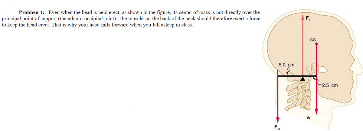 Problem 1: Even when the head is held erect, as shown in the figure, its center of mass is not directly over the
principal point of support (the atlanto-occipital joint). The muscles at the back of the neck should therefore exert a force
to keep the head erect. That is why your head falls forward when you fall asleep in class.
5.0 cm
FM
F₁
CG
W
2.5 cm