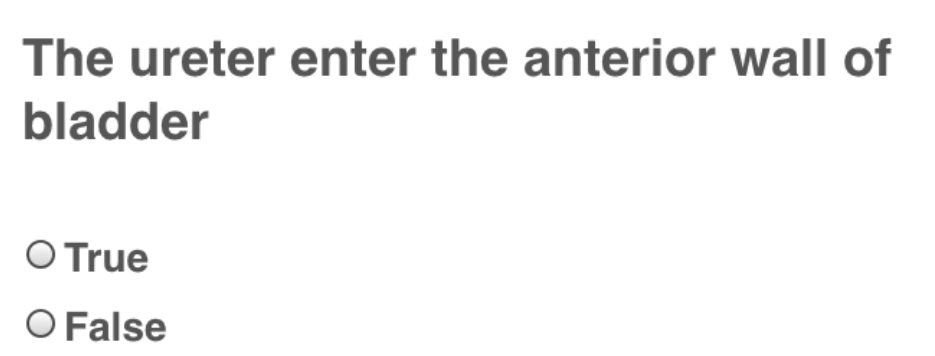 The ureter enter the anterior wall of
bladder
O True
O False
