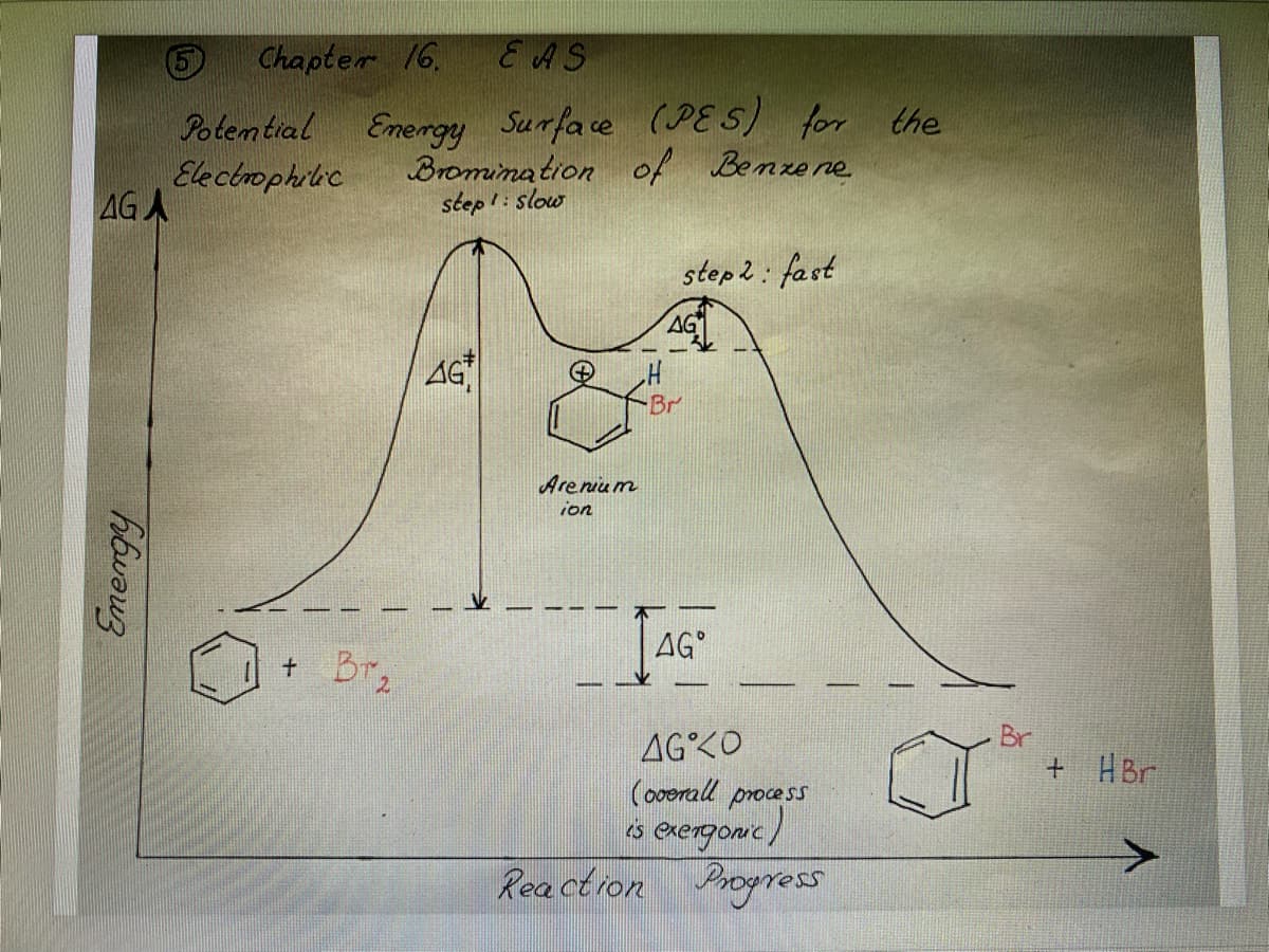 AGA
hawarz
Chapter 16
EAS
Potential Energy Surface (PES) for the
Electrophilic
of Benzene
+ BT₂
Bromination
step 1: slow
AGT
Arenium
ion
step 2: fast
AG
-Br
AG
AG KO
(overall process
is exergonic)
Reaction Progress
Br
+ HBr