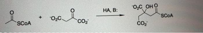 "O,C OH O
НА, В:
SCOA
SCOA
CO2
CO2
