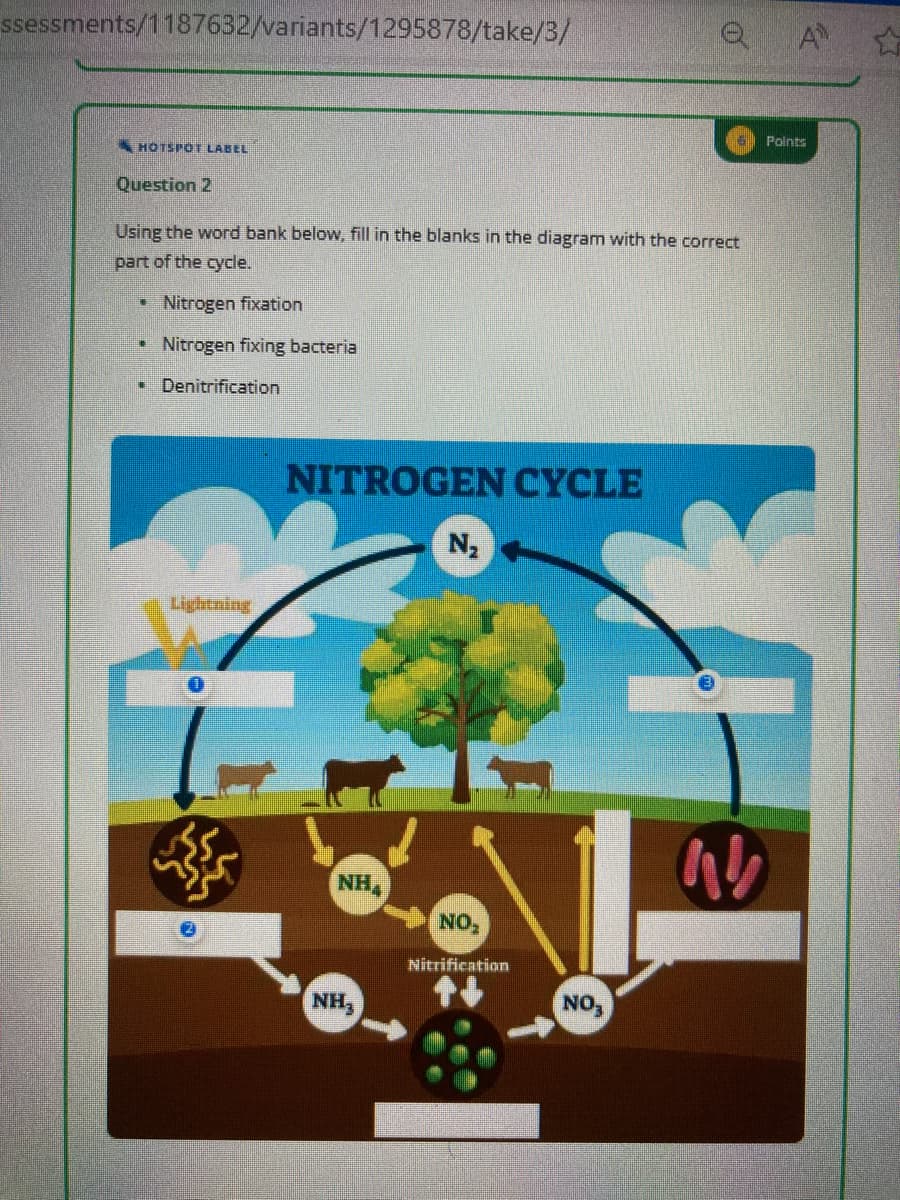 ssessments/1187632/variants/1295878/take/3/
HOTSPOT LABEL
Question 2
Using the word bank below, fill in the blanks in the diagram with the correct
part of the cycle.
Nitrogen fixation
Nitrogen fixing bacteria
Denitrification
EN
Lightning
NITROGEN CYCLE
NHA
NH3
N₂
NO₂
Nitrification
QA
NO₁
M
Points