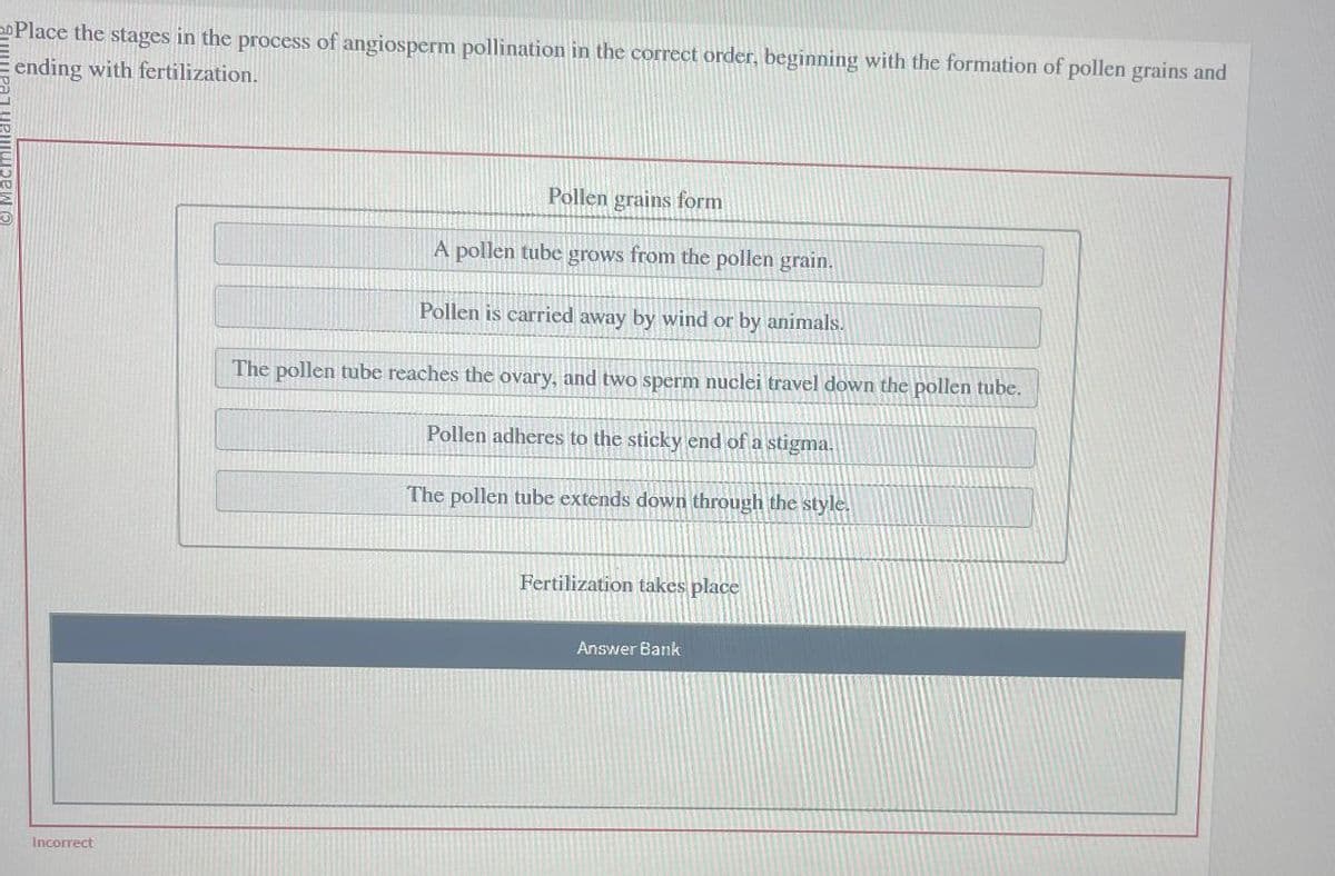 Place the stages in the process of angiosperm pollination in the correct order, beginning with the formation of pollen grains and
ending with fertilization.
Incorrect
Pollen grains form
A pollen tube grows from the pollen grain.
Pollen is carried away by wind or by animals.
The pollen tube reaches the ovary, and two sperm nuclei travel down the pollen tube.
Pollen adheres to the sticky end of a stigma.
The pollen tube extends down through the style.
Fertilization takes place
Answer Bank