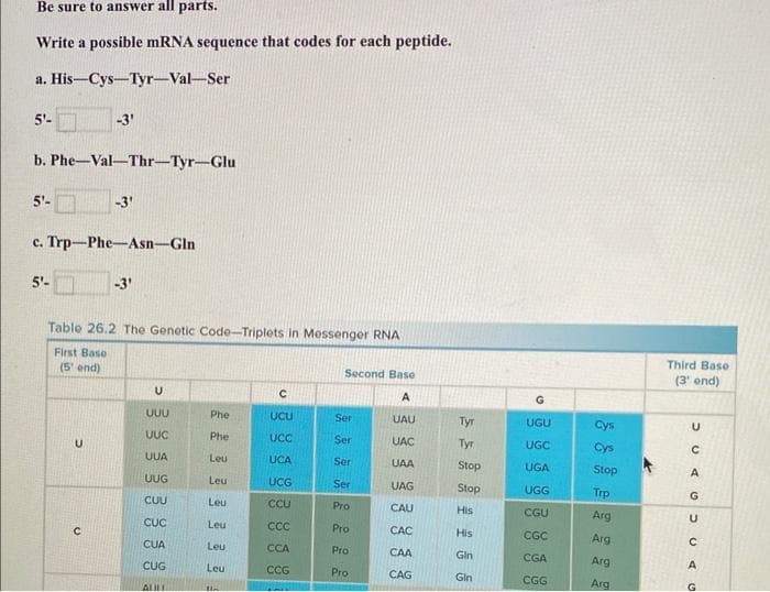 Be sure to answer all parts.
Write a possible mRNA sequence that codes for each peptide.
a. His-Cys-Tyr-Val-Ser
5¹-
b. Phe-Val-Thr-Tyr-Glu
5'-
5'-
c. Trp-Phe-Asn-Gln
-3'
U
-3'
с
Table 26.2 The Genetic Code-Triplets in Messenger RNA
First Base
(5' end)
-3'
U
UUU
UUC
UUA
UUG
CUU
CUC
CUA
CUG
AUL
Phe
Phe
Leu
Leu
Leu
Leu
Leu
Leu
la
C
UCU
UCC
UCA
UCG
CCU
CCC
CCA
CCG
Second Base
A
UAU
UAC
UAA
UAG
CAU
CAC
CAA
CAG
Ser
Ser
Ser
Ser
Pro
Pro
Pro
Pro
Tyr
55
Tyr
Stop
Stop
His
His
Gin
Gin
G
UGU
UGC
UGA
UGG
CGU
CGC
CGA
CGG
Cys
Cys
Stop
Trp
Arg
Arg
Arg
Arg
Third Base
(3¹ ond)
DUAC DU AG
с
А
А