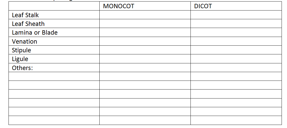 Leaf Stalk
Leaf Sheath
Lamina or Blade
Venation
Stipule
Ligule
Others:
MONOCOT
DICOT