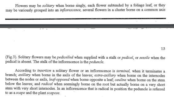 Flowers may be solitary when borne singly, each flower subtended by a foliage leaf, or they
may be variously grouped into an inflorescence, several flowers in a cluster borne on a common axis
13
(Fig.3). Solitary flowers may be pedicelled when supplied with a stalk or pedicel, or sessile when the
pedicel is absent. The stalk of the inflorescence is the peduncle.
According to insertion a solitary flower or an inflorescence is terminal, when
branch; axillary when borne in the axils of the leaves; extra-axillary when borne on the internodes
between the nodes or axils, leaf-opposed when borne opposite a leaf; cauline when borne on the stem
below the leaves; and radical when seemingly borne on the root but actually borne on a very short
stem with very short internodes. In an inflorescence that is radical in position the peduncle is referred
to as a scape and the plant scapose.
terminates a
