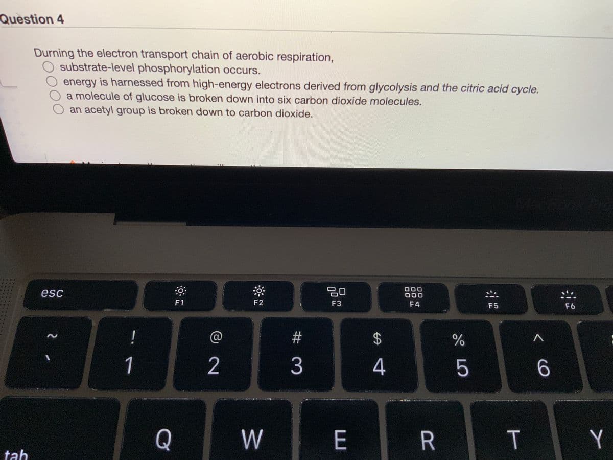 Question 4
Durning the electron transport chain of aerobic respiration,
O substrate-level phosphorylation occurs.
energy is harnessed from high-energy electrons derived from glycolysis and the citric acid cycle.
a molecule of glucose is broken down into six carbon dioxide molecules.
an acetyl group is broken down to carbon dioxide.
esc
000
000
F1
F2
F3
F4
F5
F6
%24
2
4
5
6.
Q
W
E R
Y
tah
# 3
