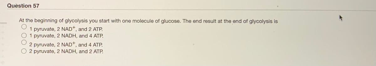 Question 57
At the beginning of glycolysis you start with one molecule of glucose. The end result at the end of glycolysis is
1 pyruvate, 2 NAD*, and 2 ATP.
1 pyruvate, 2 NADH, and 4 ATP.
2 pyruvate, 2 NAD*, and 4 ATP.
2 pyruvate, 2 NADH, and 2 ATP.
