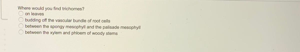 Where would you find trichomes?
on leaves
budding off the vascular bundle of root cells
between the spongy mesophyll and the palisade mesophyll
between the xylem and phloem of woody stems
