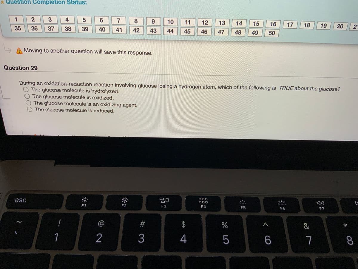 * Question Completion Status:
1
3
4
10
11
12
13
14
15
16
17
18
19
20
21
35
36
37
39
41
42
43
44
45
46
47
48
49
Moving to another question will save this response.
Question 29
During an oxidation-reduction reaction involving glucose losing a hydrogen atom, which of the following is TRUE about the glucose?
O The glucose molecule is hydrolyzed.
The glucose molecule is oxidized.
The glucose molecule is an oxidizing agent.
The glucose molecule is reduced.
esc
000
000
F1
F2
F3
F4
F5
F6
F7
@
23
24
&
1
2
3
4
6
7
8.
50
40
38
