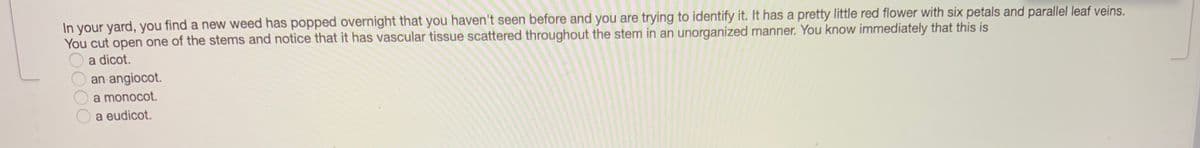 In your yard, you find a new weed has popped overnight that you haven't seen before and you are trying to identify it. It has a pretty little red flower with six petals and parallel leaf veins.
You cut open one of the stems and notice that it has vascular tissue scattered throughout the stem in an unorganized manner. You know immediately that this is
a dicot.
an angiocot.
a monocot.
a eudicot.
