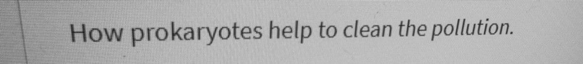 How prokaryotes help to clean the pollution.