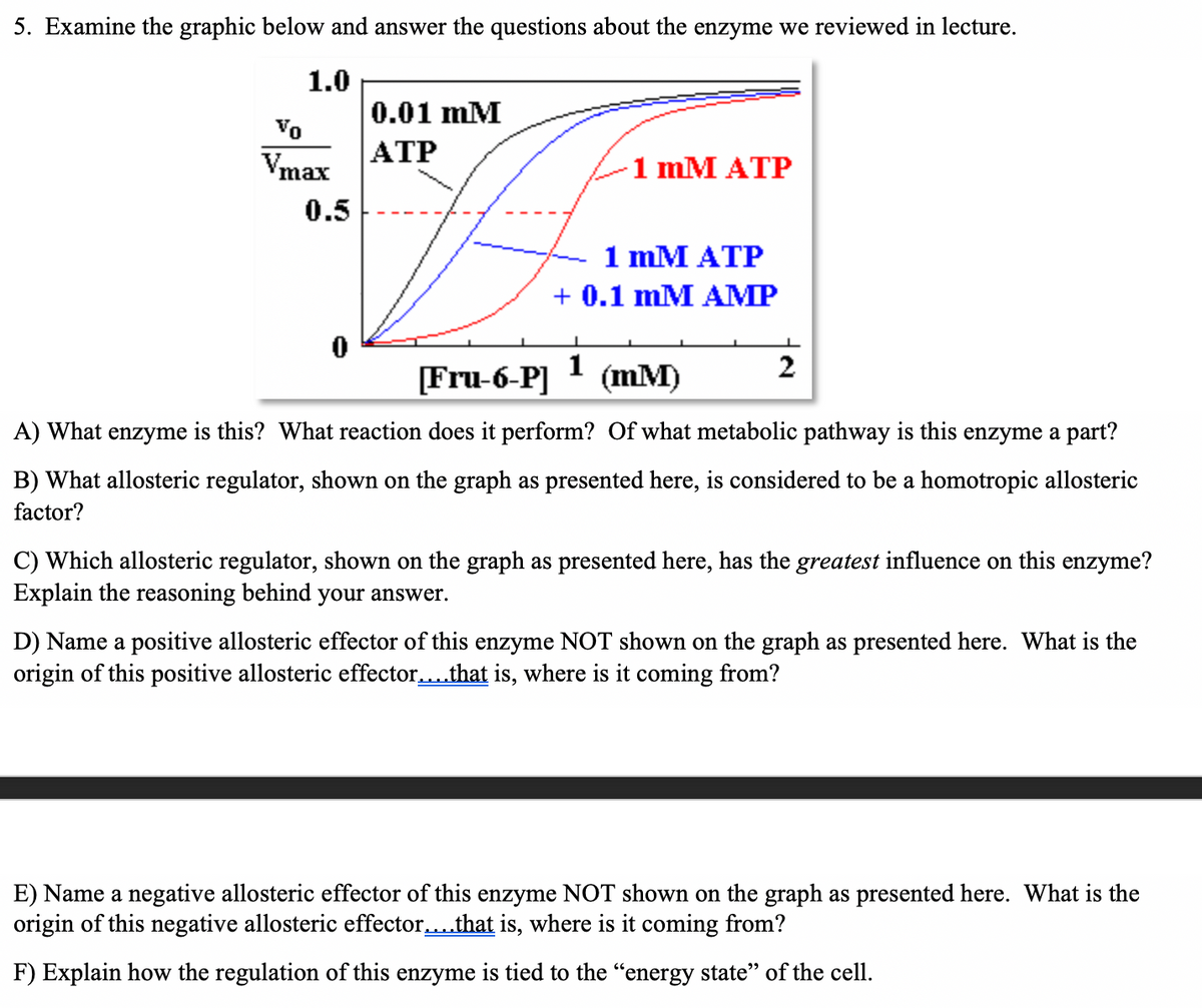 5. Examine the graphic below and answer the questions about the enzyme we reviewed in lecture.
1.0
0.01 mM
Vo
Vmax
ATP
1 mM ATP
0.5
1 mM ATP
+ 0.1 mM AMP
1
[Fru-6-P]
(mM)
2
A) What enzyme is this? What reaction does it perform? Of what metabolic pathway is this enzyme a part?
B) What allosteric regulator, shown on the graph as presented here, is considered to be a homotropic allosteric
factor?
C) Which allosteric regulator, shown on the graph as presented here, has the greatest influence on this enzyme?
Explain the reasoning behind your answer.
D) Name a positive allosteric effector of this enzyme NOT shown on the graph as presented here. What is the
origin of this positive allosteric effector...that is, where is it coming from?
E) Name a negative allosteric effector of this enzyme NOT shown on the graph as presented here. What is the
origin of this negative allosteric effector...that is, where is it coming from?
F) Explain how the regulation of this enzyme is tied to the "energy state" of the cell.
