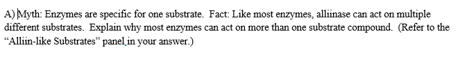 A) Myth: Enzymes are specific for one substrate. Fact: Like most enzymes, alliinase can act on multiple
different substrates. Explain why most enzymes can act on more than one substrate compound. (Refer to the
“Alliin-like Substrates" panel in your answer.)
