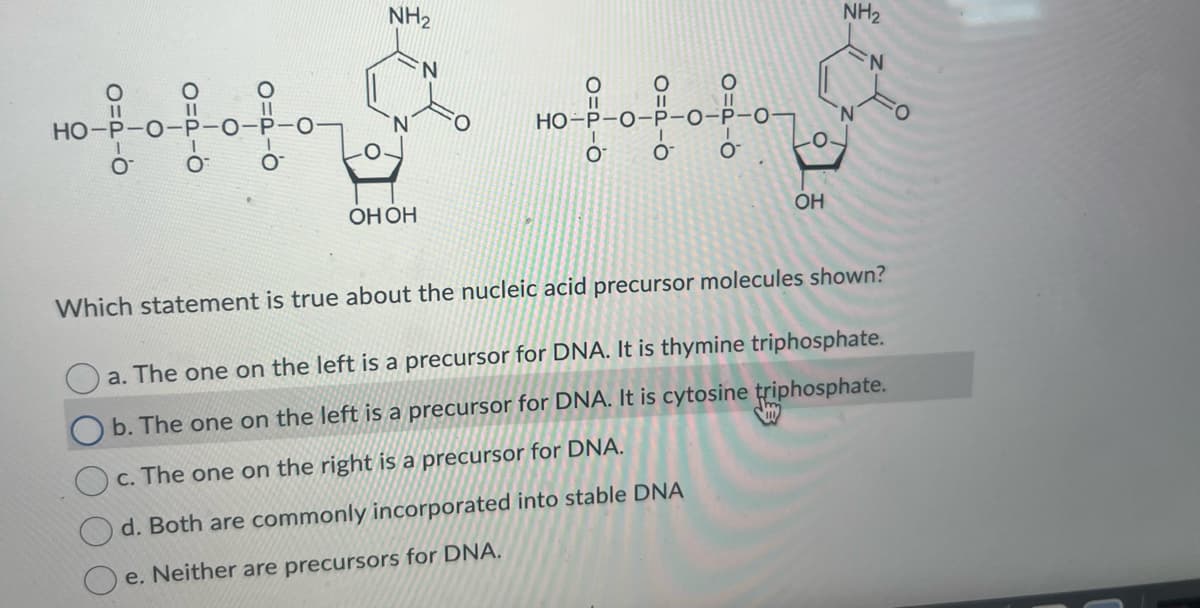 HO-P-O-
Ο
о
NH2
OH OH
N
O
HO-P-O-P O-P
O
Ο
Ο
OH
NH2
Which statement is true about the nucleic acid precursor molecules shown?
a. The one on the left is a precursor for DNA. It is thymine triphosphate.
b. The one on the left is a precursor for DNA. It is cytosine triphosphate.
c. The one on the right is a precursor for DNA.
d. Both are commonly incorporated into stable DNA
e. Neither are precursors for DNA.