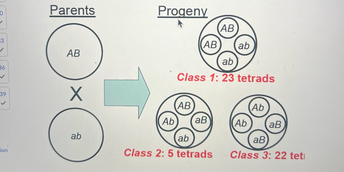 0
Parents
Progeny
AB
ab
83
36
AB
AB
ab
Class 1: 23 tetrads
39
✓
X
AB
Ab
Ab
aB
Ab
aB
ab
ab
aB
ion
Class 2:5 tetrads
Class 3: 22 teti