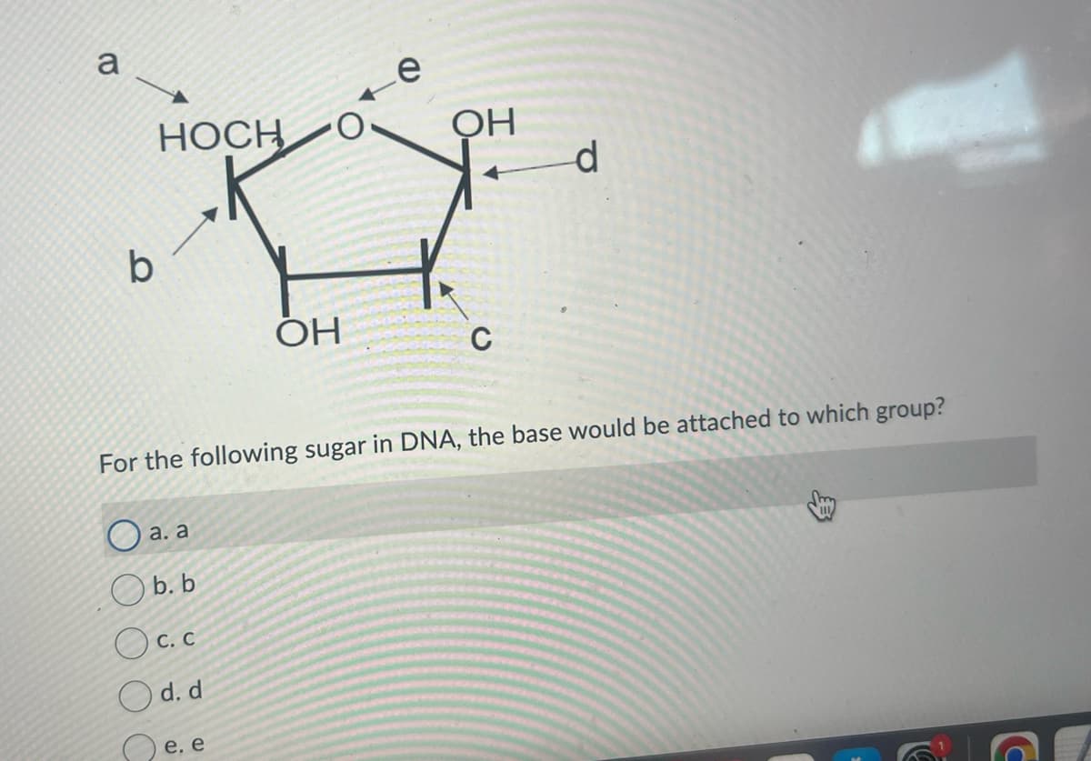 a
e
HOCH
O
OH
d
b
OH
C
For the following sugar in DNA, the base would be attached to which group?
a. a
b. b
C. C
d. d
e. e