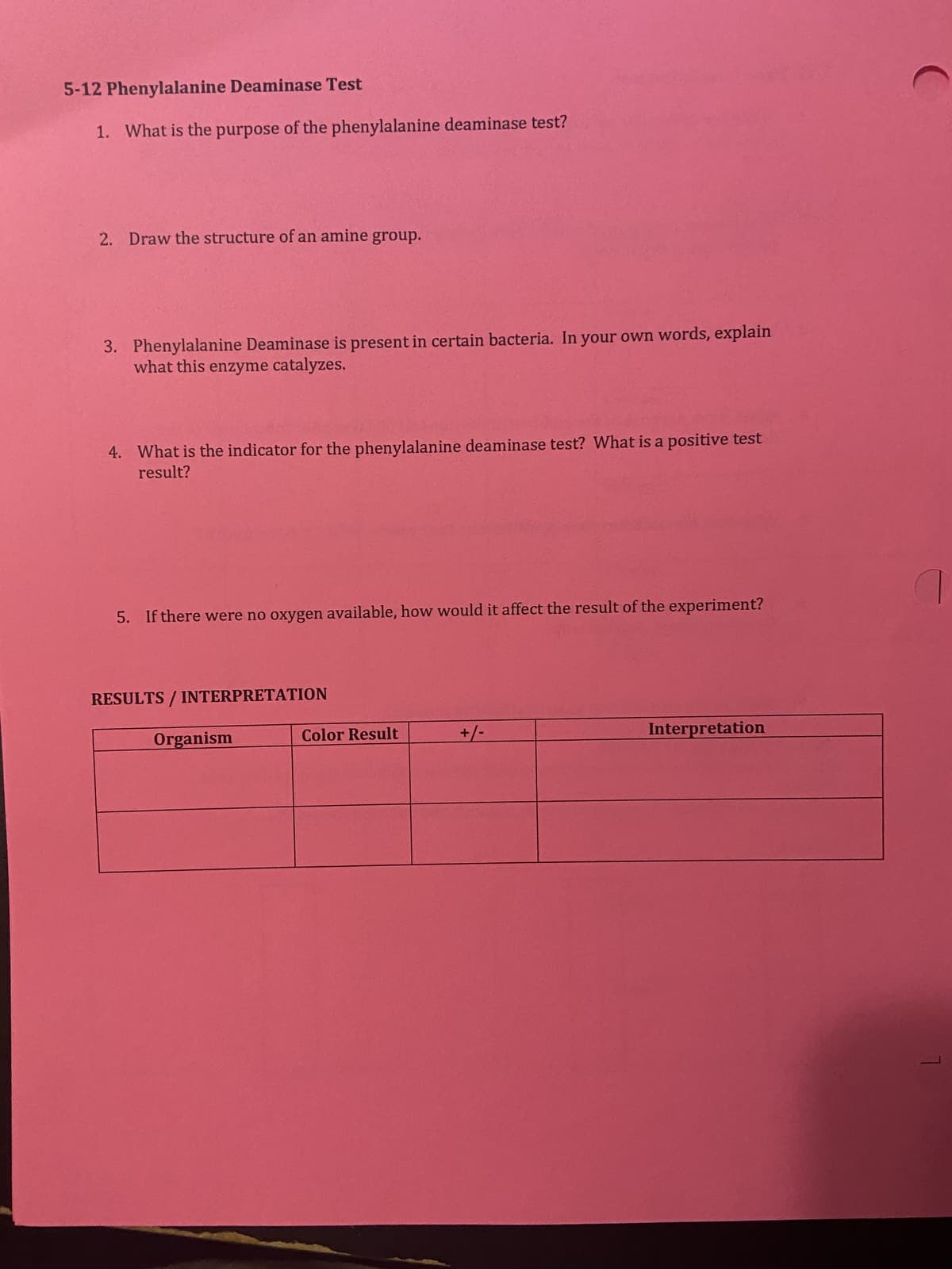 ## 5-12 Phenylalanine Deaminase Test

### 1. What is the purpose of the phenylalanine deaminase test?

### 2. Draw the structure of an amine group.

### 3. Phenylalanine Deaminase is present in certain bacteria. In your own words, explain what this enzyme catalyzes.

### 4. What is the indicator for the phenylalanine deaminase test? What is a positive test result?

### 5. If there were no oxygen available, how would it affect the result of the experiment?

---

### Results / Interpretation

| **Organism** | **Color Result** | **+/-** | **Interpretation** |
|--------------|-------------------|---------|-------------------|
|              |                   |         |                   |