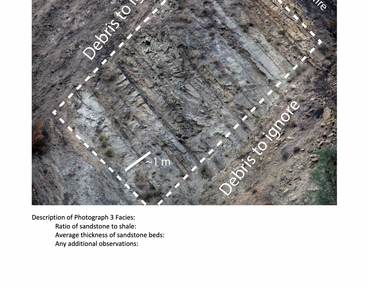 Debris to
Description of Photograph 3 Facies:
1m
Ratio of sandstone to shale:
Average thickness of sandstone beds:
Any additional observations:
Debris to ignore
re