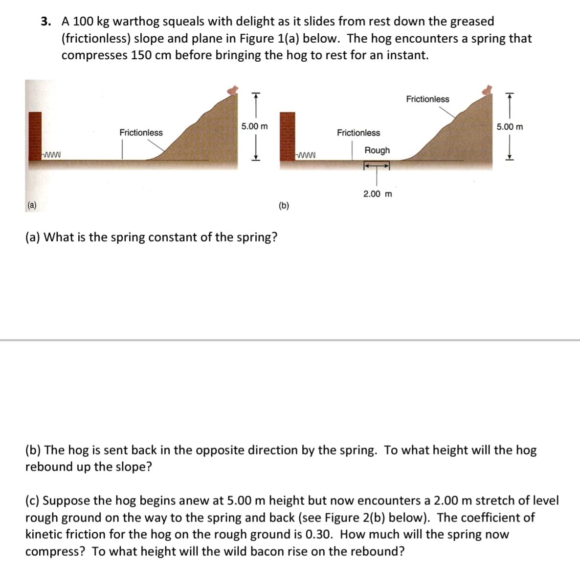 (a)
3. A 100 kg warthog squeals with delight as it slides from rest down the greased
(frictionless) slope and plane in Figure 1(a) below. The hog encounters a spring that
compresses 150 cm before bringing the hog to rest for an instant.
Frictionless
5.00 m
(a) What is the spring constant of the spring?
(b)
www
Frictionless
Rough
2.00 m
Frictionless
T
5.00 m
Į
(b) The hog is sent back in the opposite direction by the spring. To what height will the hog
rebound up the slope?
(c) Suppose the hog begins anew at 5.00 m height but now encounters a 2.00 m stretch of level
rough ground on the way to the spring and back (see Figure 2(b) below). The coefficient of
kinetic friction for the hog on the rough ground is 0.30. How much will the spring now
compress? To what height will the wild bacon rise on the rebound?