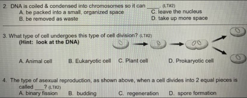 2. DNA is coiled & condensed into chromosomes so it can
A. be packed into a small, organized space
B. be removed as waste
(LT#2)
C. leave the nucleus
D. take up more space
3. What type of cell undergoes this type of cell division? (LT#2)
(Hint: look at the DNA)
A. Animal cell
B. Eukaryotic cell
C. Plant cell
D. Prokaryotic cell
4. The type of asexual reproduction, as shown above, when a cell divides into 2 equal pieces is
? (LT#2)
A. binary fission
called
B. budding
C. regeneration
D. spore formation
