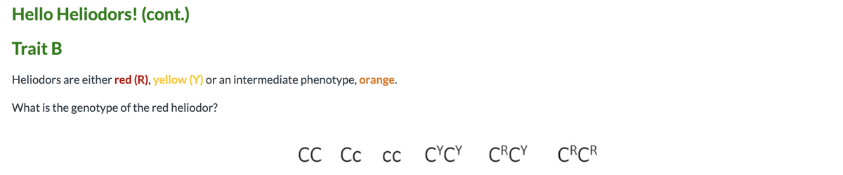 Hello Heliodors! (cont.)
Trait B
Heliodors are either red (R), yellow (Y) or an intermediate phenotype, orange.
What is the genotype of the red heliodor?
СС Сс
СС
C'CY CRCY
CRCR
