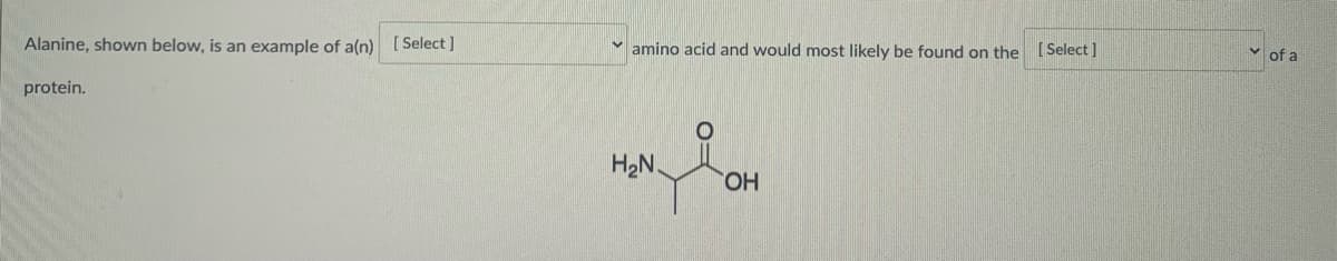 Alanine, shown below, is an example of a(n) [ Select ]
Y amino acid and would most likely be found on the [ Select ]
v of a
protein.
H2N.
HO.
