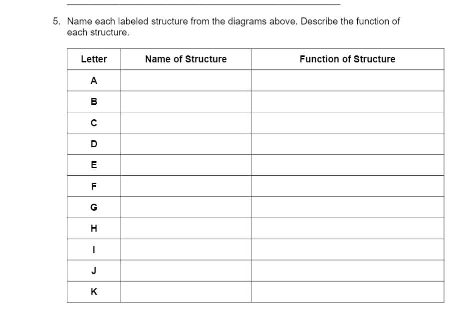 5. Name each labeled structure from the diagrams above. Describe the function of
each structure.
Letter
Name of Structure
Function of Structure
A
B
D
E
F
G
H
J
K
