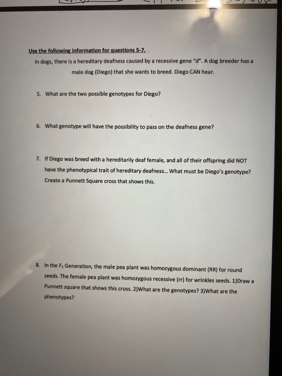 Use the following information for questions 5-7. .
In dogs, there is a hereditary deafness caused by a recessive gene "d". A dog breeder has a
male dog (Diego) that she wants to breed. Diego CAN hear.
5. What are the two possible genotypes for Diego?
6. What genotype will have the possibility to pass on the deafness gene?
7. If Diego was breed with a hereditarily deaf female, and all of their offspring did NOT
have the phenotypical trait of hereditary deafnes... What must be Diego's genotype?
Create a Punnett Square cross that shows this.
8. In the F1 Generation, the male pea plant was homozygous dominant (RR) for round
seeds. The female pea plant was homozygous recessive (rr) for wrinkles seeds. 1)Draw a
Punnett square that shows this cross. 2)What are the genotypes? 3)What are the
phenotypes?
