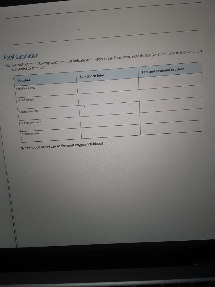 Fetal Circulation
14. For each of the following structures, first indicate its function in the fetus; then, note its fate (what happens to it or what it is
converted to after birth).
Structure
Function in fetus
Fate and postnatal structure
Umbilical artery
Umbilical vein
Ductus venosus
Ductus arteriosus
Foramen ovale
Which blood vessel carries the most oxygen-rich blood?