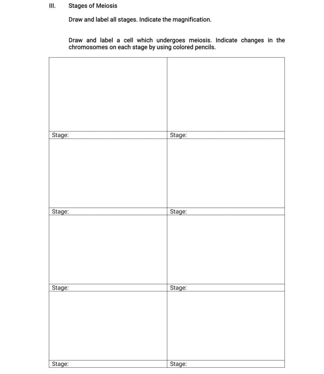 II.
Stages of Meiosis
Draw and label all stages. Indicate the magnification.
Draw and label a cell which undergoes meiosis. Indicate changes in the
chromosomes on each stage by using colored pencils.
Stage:
Stage:
Stage:
Stage:
Stage:
Stage:
Stage:
Stage:

