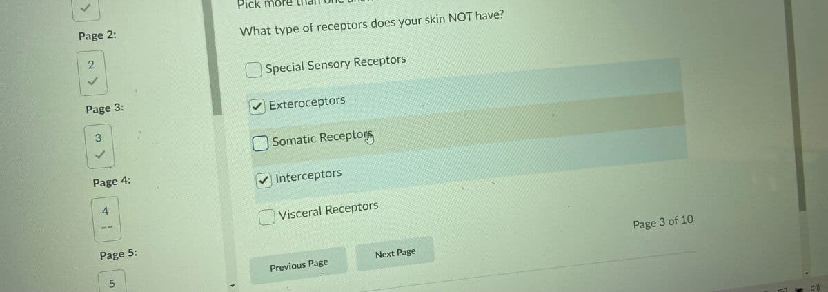 Pick mor
Page 2:
What type of receptors does your skin NOT have?
Special Sensory Receptors
Page 3:
Exteroceptors
3.
Somatic Receptors
Page 4:
/ Interceptors
4
Visceral Receptors
Page 5:
Page 3 of 10
Next Page
5.
Previous Page
