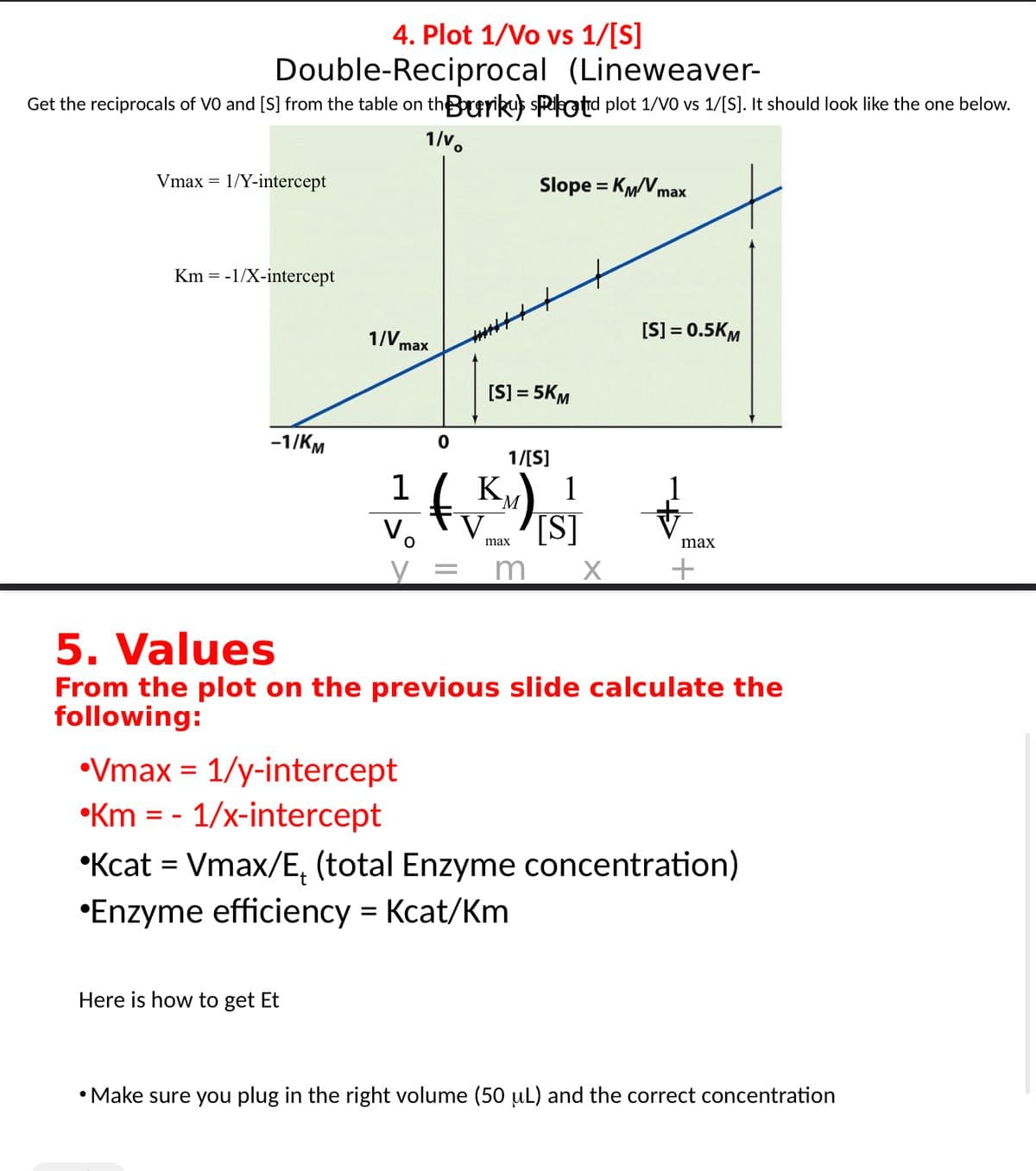 4. Plot 1/Vo vs 1/[S]
Double-Reciprocal (Lineweaver-
Get the reciprocals of VO and [S] from the table on thBouriku) sPikotid plot 1/VO vs 1/[S]. It should look like the one below.
1/v
Vmax = 1/Y-intercept
Km = -1/X-intercept
-1/KM
1/V.
max
•Vmax = 1/y-intercept
•Km = - 1/x-intercept
Here is how to get Et
Slope = KM/Vmax
[S] = 5KM
1/[S]
1
1 (K) +
max
1
[S] = 0.5KM
= m X
max
5. Values
From the plot on the previous slide calculate the
following:
+
*Kcat = Vmax/E₁ (total Enzyme concentration)
•Enzyme efficiency = Kcat/Km
• Make sure you plug in the right volume (50 µL) and the correct concentration