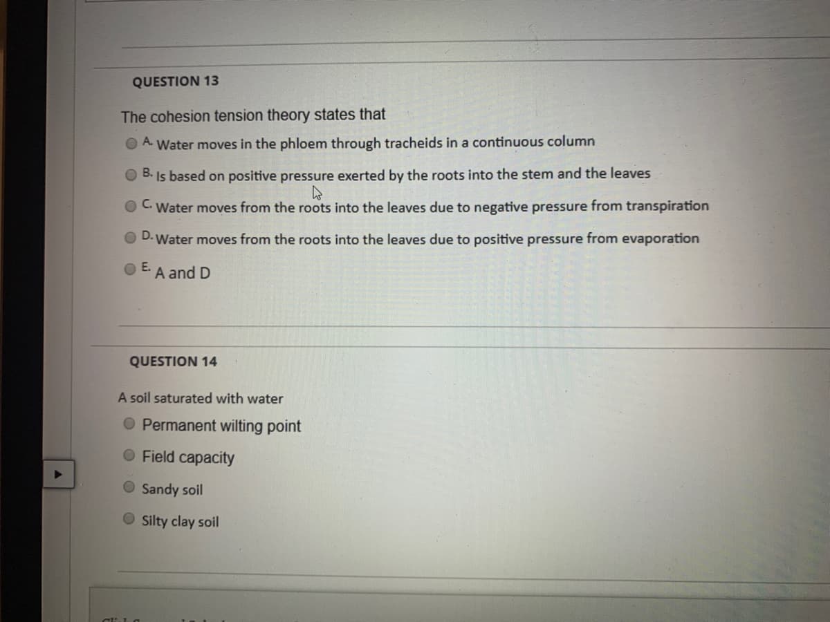 QUESTION 13
The cohesion tension theory states that
OA Water moves in the phloem through tracheids in a continuous column
O B. Is based on positive pressure exerted by the roots into the stem and the leaves
C.
Water moves from the roots into the leaves due to negative pressure from transpiration
D.
Water moves from the roots into the leaves due to positive pressure from evaporation
O E.
A and D
QUESTION 14
A soil saturated with water
O Permanent wilting point
O Field capacity
O Sandy soil
O silty clay soil
