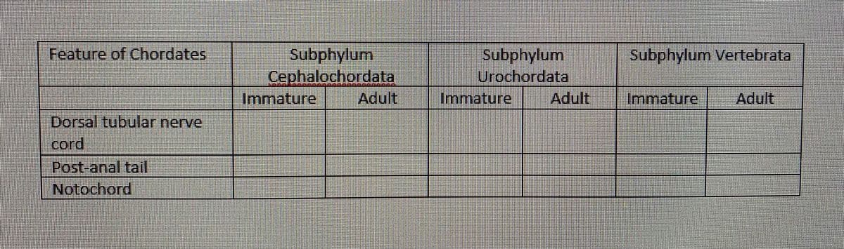 Subphylum
Cephalochordata
Adult
Feature of Chordates
Subphylum
Urochordata
Adult
Subphylum Vertebrata
Immature
Immature
Immature
Adult
Dorsal tubular nerve
cord
Post-anal tail
Notochord
