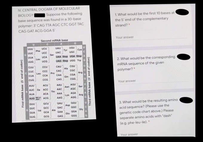 IV. CENTRAL DOGMA OF MOLECULAR
BIOLOGY
Suppose the following
base sequence was found in a 30-base
polymer: 3' CAG TTA AGC CTC GGT TAC
CAG GAT ACG GGA 5
1. What would be the first 10 bases at
the 5' end of the complementary
strand?
Second MRNA base
Your answer
UUU
UCU
UAU
UGU
Phe
Tyr
UGC
Cys
UUC
UAC
Ser
Ucc
UUA
UCA
UAA Stop UGA Stop
Leu
2. What would be the corresponding
MRNA sequence of the given
UUG
ucG
UAG Stop UGG Trp
CGU
His
CUU
CCu
CAU
Cuc
polymer?
cc
CAC
Pro
CAA
Leu
CUA
Cua
Arg
CCA
CGA
Gin
ccG
CAG
CG
Your answer
AAU
AGU
Asn
AGC
AUU
ACU
Ser
AUC le ACC
AAC
Thr
ACA
AGA
Lys
AGG
AUA
AAA
Arg
AUG
ACG
AAG
3. What would be the resulting amino
acid sequence? (Please use the
genetic code chart above.) Please
separate amino acids with "dash"
(e.g.phe-leu-ile).
GUU
GCU
GAU
GGU
Asp
GGC
GAC
Ala
GAA
GUC
GCC
Gly
Val
GUA
GGA
Glu
GGG
GCA
GUG
GCG
GAG
Your answer
First MRNA base (5 end of codon)
Third MRNA base (3' end of codon)
