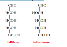 СНО
СНО
НСОН
НОСН
HÇOH
НСОН
НСОН
НСОН
ČHĻOH
ČH,OH
D-Ribose
D-Arabinose
