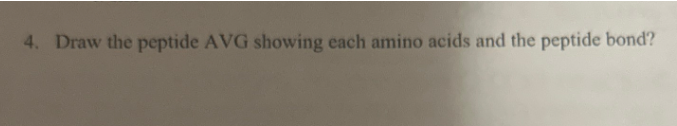 4. Draw the peptide AVG showing each amino acids and the peptide bond?