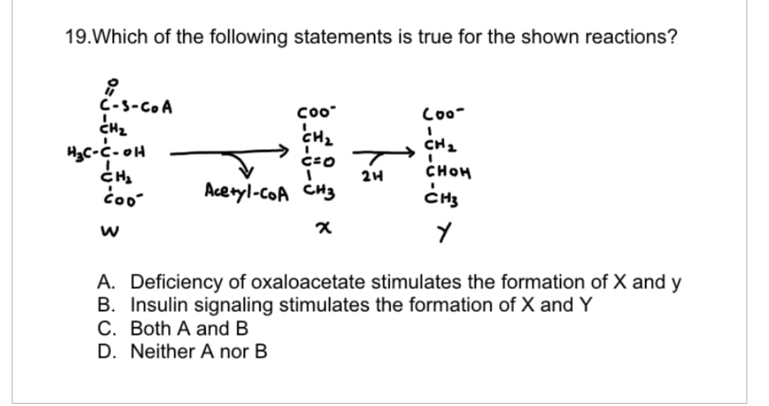 19. Which of the following statements is true for the shown reactions?
C-S-COA
CH₂
H₂C-C-0H
CH₂
coo
W
Coo
CH₂
C=O T
24
Acetyl-CoA CH3
x
Coo-
CH ₂
I
CHOH
CH3
Y
A. Deficiency of oxaloacetate stimulates the formation of X and y
B. Insulin signaling stimulates the formation of X and Y
C. Both
and B
D. Neither A nor B