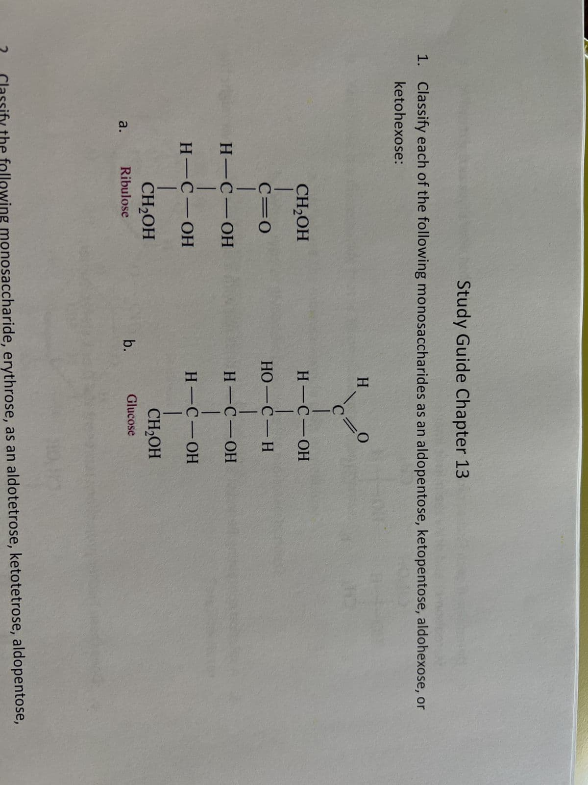 Study Guide Chapter 13
1. Classify each of the following monosaccharides as an aldopentose, ketopentose, aldohexose, or
ketohexose:
2
a.
CH₂OH
C=O
H-C-OH
|
H-C-OH
CH₂OH
Ribulose
b.
H
0=0
H-C-OH
HO-C-H
|
H-C-OH
1
H-C-OH
|
CH₂OH
Glucose
Classify the following monosaccharide, erythrose, as an aldotetrose, ketotetrose, aldopentose,