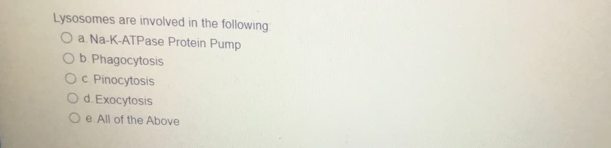 Lysosomes are involved in the following:
a. Na-K-ATPase Protein Pump
O b. Phagocytosis
O c. Pinocytosis
d. Exocytosis
Oe. All of the Above