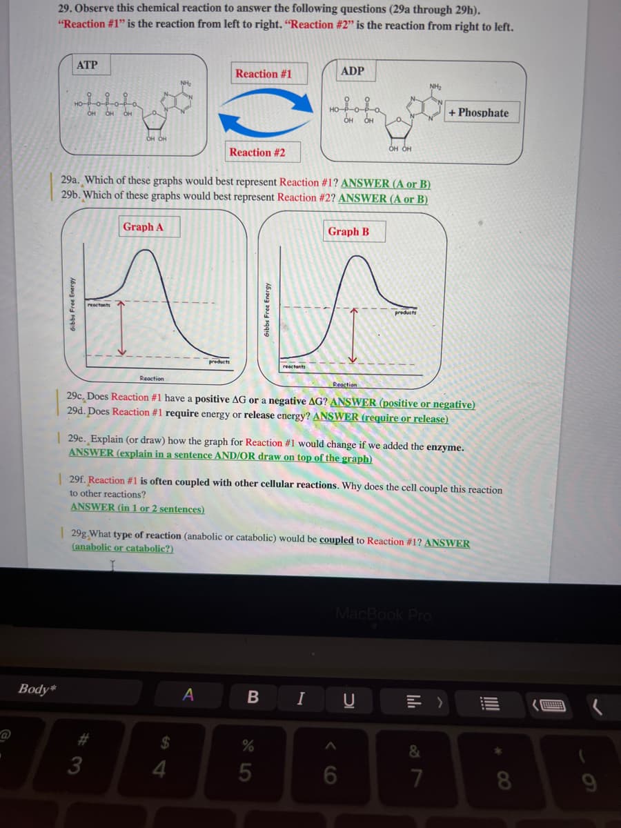 Body*
29. Observe this chemical reaction to answer the following questions (29a through 29h).
"Reaction #1" is the reaction from left to right. "Reaction # 2" is the reaction from right to left.
ATP
Gibbs Free Energy
OH
OH OH
OH OH
Graph A
#3
3
Reaction #1
Reaction #2
29a. Which of these graphs would best represent Reaction #1? ANSWER (A or B)
29b. Which of these graphs would best represent Reaction #2? ANSWER (A or B)
products
$
A
Añ
reactants
ADP
HO-P-0-P-0
OH OH
B
Graph B
Reaction
Reaction
29c, Does Reaction #1 have a positive AG or a negative AG? ANSWER (positive or negative)
29d. Does Reaction #1 require energy or release energy? ANSWER (require or release)
%
5
a
29e. Explain (or draw) how the graph for Reaction #1 would change if we added the enzyme.
ANSWER (explain in a sentence AND/OR draw on top of the graph)
OH OH
|29f. Reaction #1 is often coupled with other cellular reactions. Why does the cell couple this reaction
to other reactions?
ANSWER (in 1 or 2 sentences)
I
29g. What type of reaction (anabolic or catabolic) would be coupled to Reaction #1? ANSWER
(anabolic or catabolic?)
products
NH₂
6
+ Phosphate
MacBook Pro
&
7
||||
8