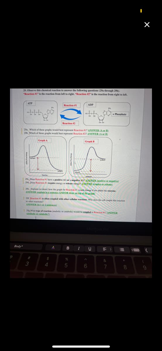 Body
29. Observe this chemical reaction to answer the following questions (29a through 29h).
"Reaction #1" is the reaction from left to right. "Reaction #2" is the reaction from right to left.
ATP
Dig,
Graph A
#
29a. Which of these graphs would best represent Reaction #17 ANSWER (A or B)
29b. Which of these graphs would best represent Reaction #27 ANSWER (A or B)
AA
3
Reaction #1
Reaction #2
$
29c, Does Reaction #1 have a positive AG or a negative AG? ANSWER (positive or negative)
29d. Does Reaction #1 require energy or release energy? ANSWER (require or release)
4
29e. Explain (or draw) how the graph for Reaction #1 would change if we added the enzyme.
ANSWER (explain in a sentence AND/OR draw on top of the graph)
A
| 291. Reaction #1 is often coupled with other cellular reactions. Why does the cell couple this reaction
to other reactions?
ANSWER (in 1 or 2 sentences)
29g What type of reaction (anabolic or catabolic) would be coupled to Reaction #17 ANSWER
(anabolic or catabolic?)
ADP
B
OH OH
Graph B
5
I
OH OH
A
6
U
+ Phosphate
=>
&
7
8
×
(
9